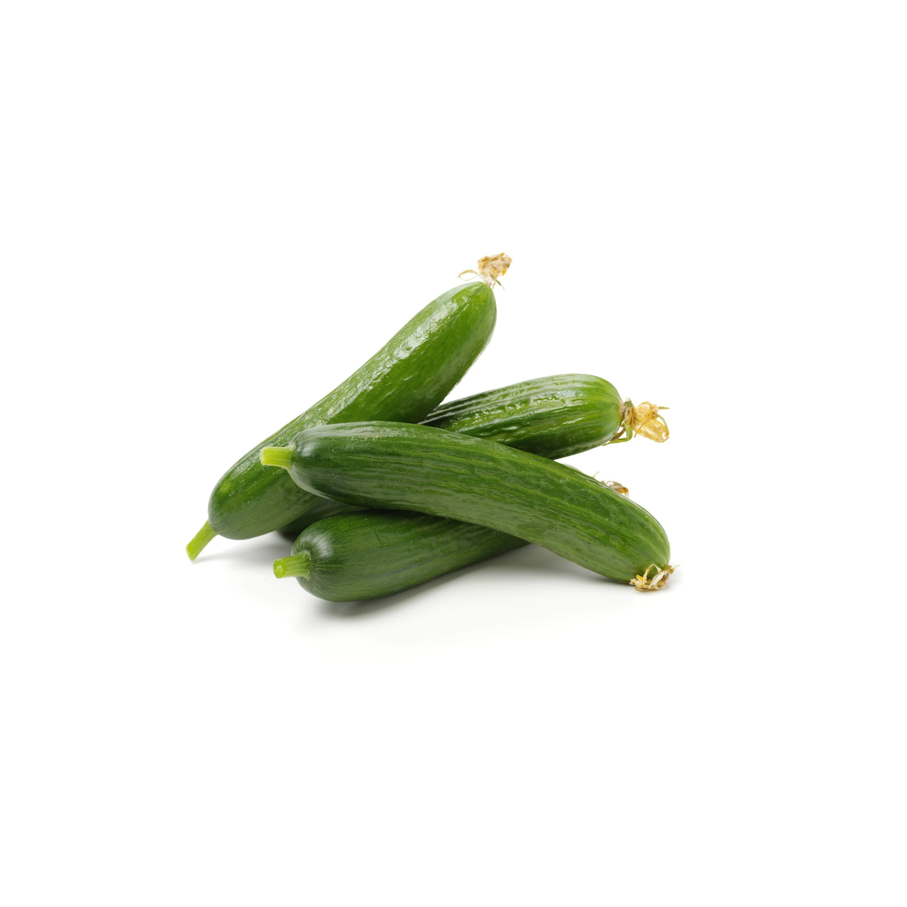 Premium Fresh Cucumber - Best Price High Quality Vegetable Available in