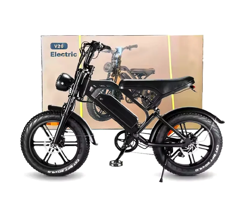 full suspension electric urban bicycle with 20*4.0 inch fat tire e-bike 1000W powerful strong snow beach bike for sales