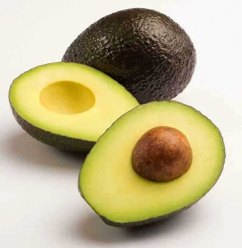 AVOCADO FRESH / Aguacate / PALTA HASS ,Fresh Fruit & Hass Avocados for sale