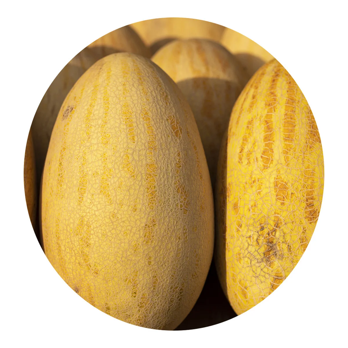 Natural melon for eating no chemical additives bulk in price