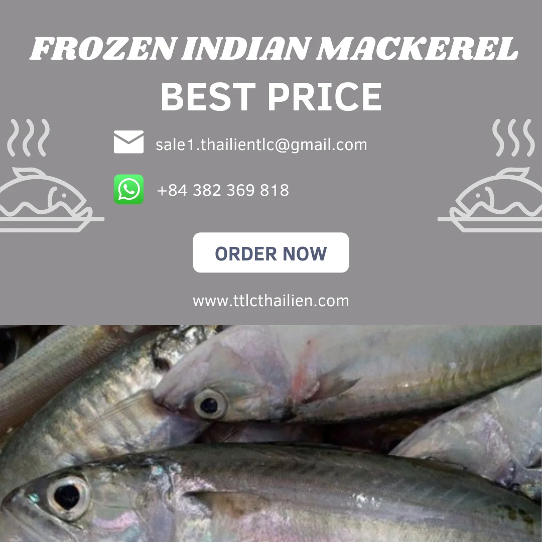 Competitive Price Frozen Indian Mackerel From Best Supplier in Vietnam