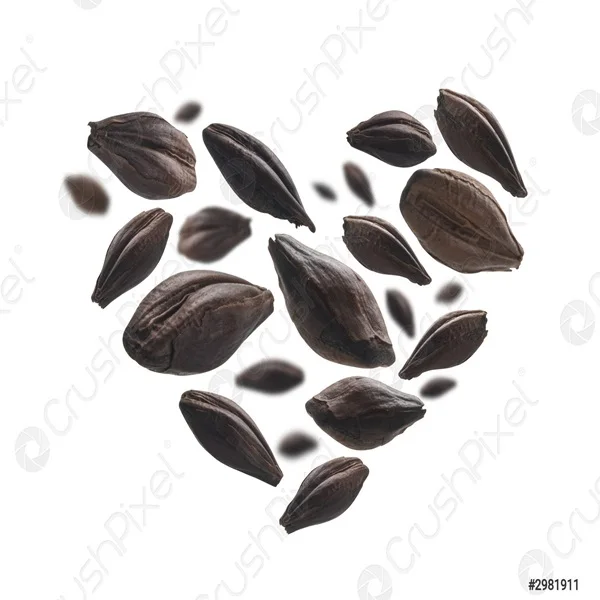 Органические высококачественные семена ячменя для продажи купить дешевые онлайн