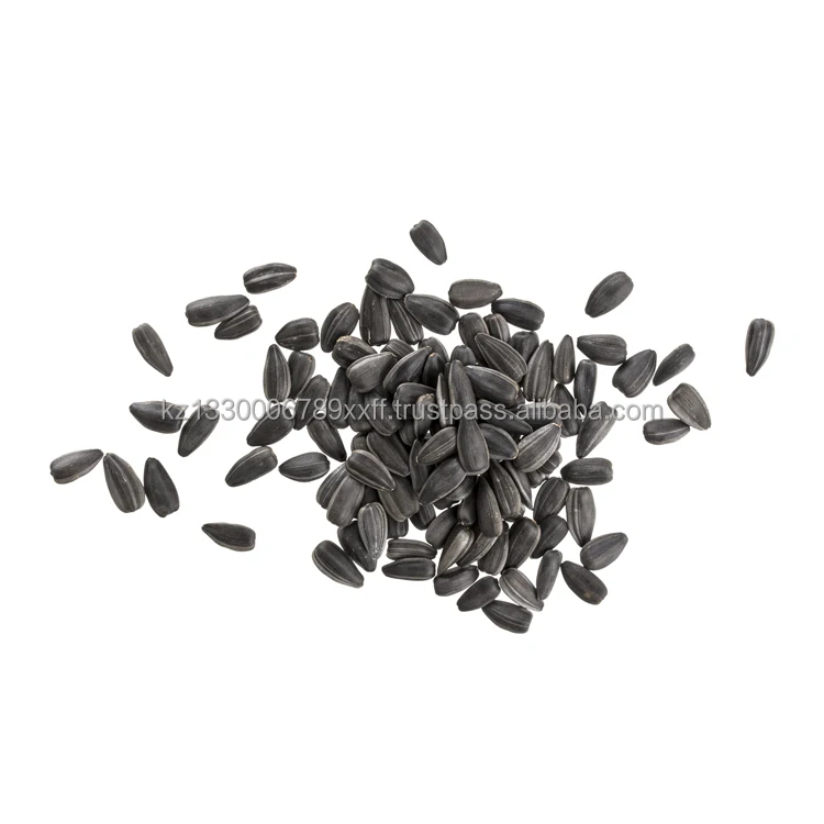 Sunflower seeds for sale in bulk ecological product top quality agricultural products from Kazakhstan
