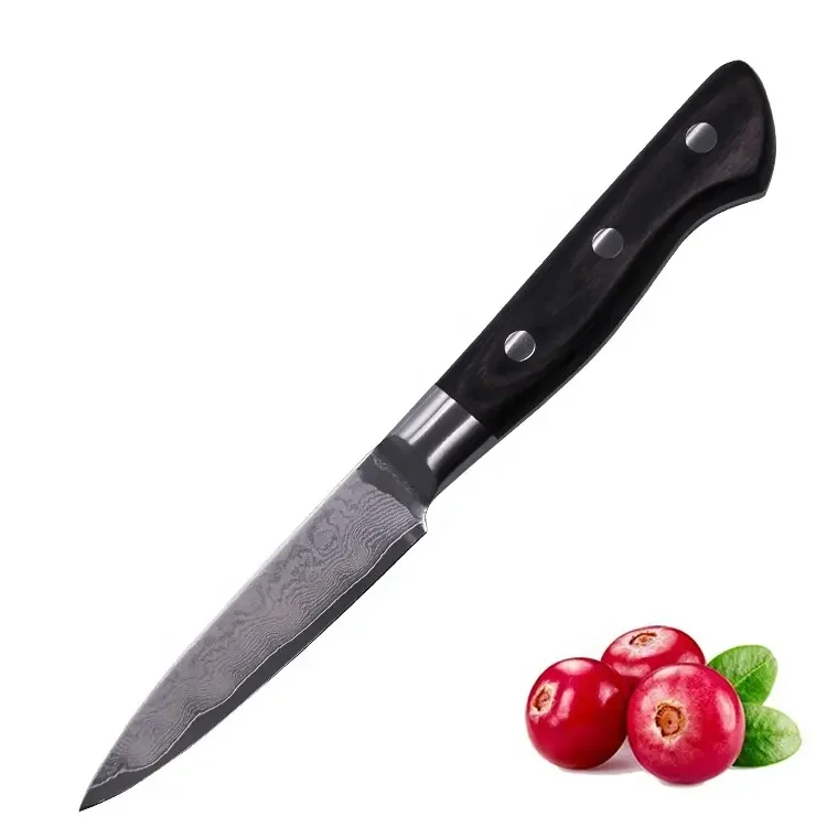 Cuchillos De Cocina Acero Damasco Japanese Aus10 Дамасская сталь 3 5 дюймов кухонный нож для очистки фруктов с деревянной ручкой Pakka
