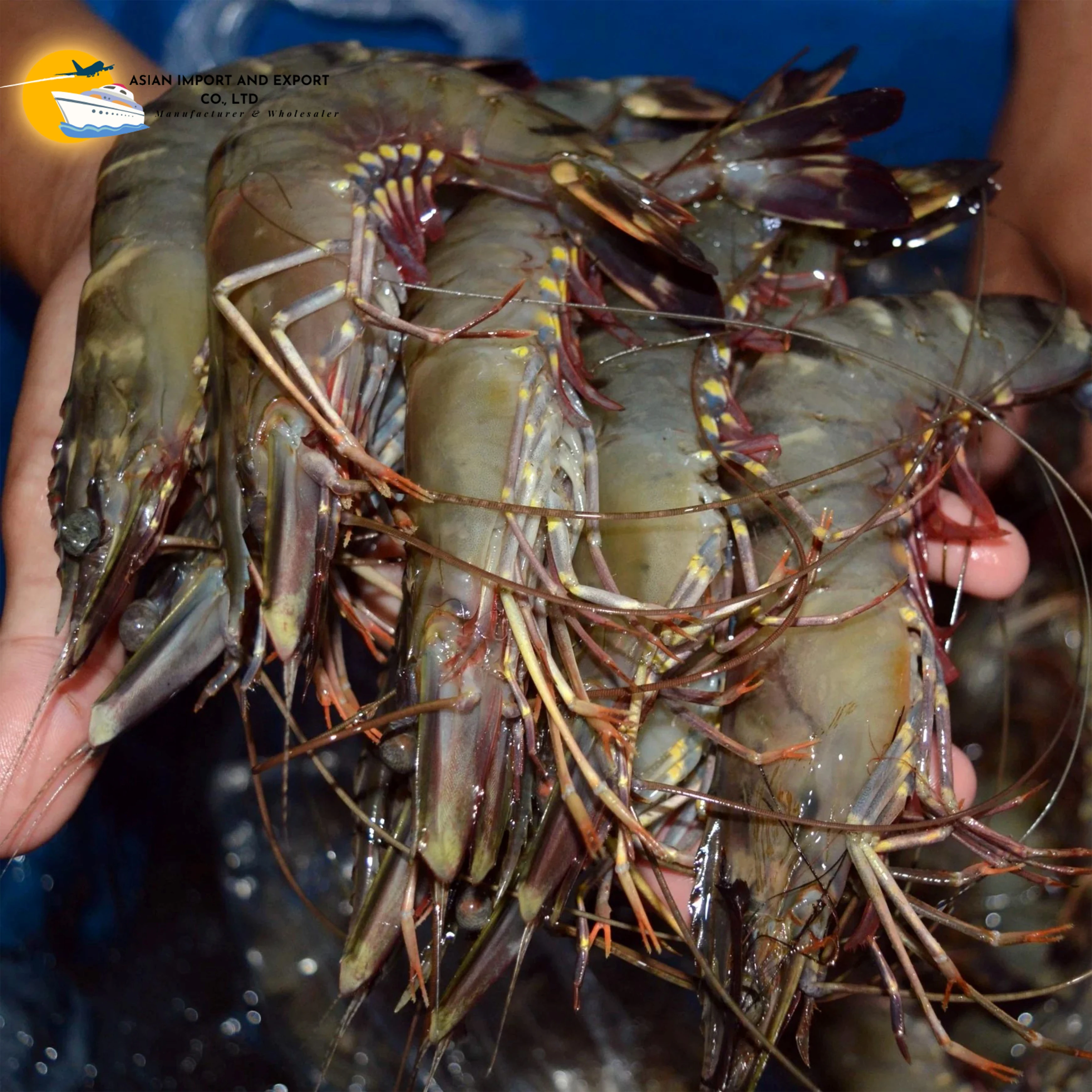 Frozen Fresh Shrimp 100% Frozen Vannamei Shrimp Healthy China Seafood Items with High Quality