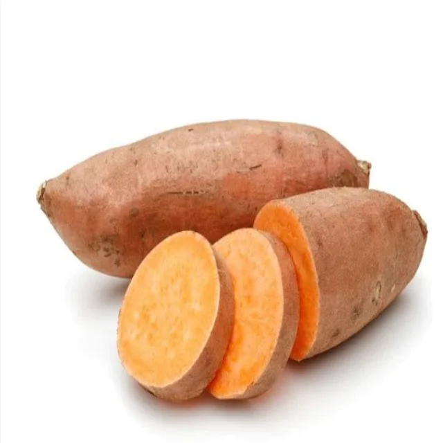 Bulk Stock Available Of Fresh Vegetables Sweet Potatoes At Wholesale Prices