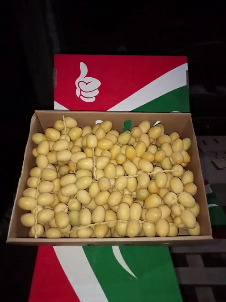 Fresh date ,Wholesale Price