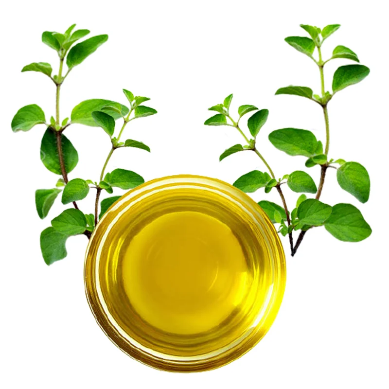 Buy Premium Quality Pure Organic Oregano Oil For Multi Uses Essential Oil Manufacture in India for Supply at Wholesale Prices