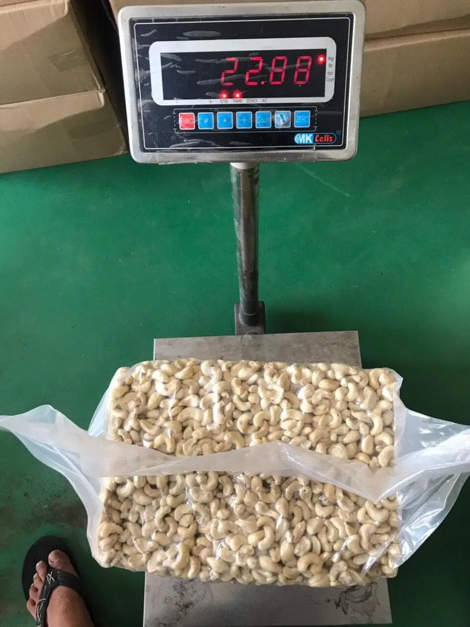 Premium Nuts - CASHEW KERNEL WW240 (220-240 seed/ pound) ORIGIN OF VIETNAM available for export