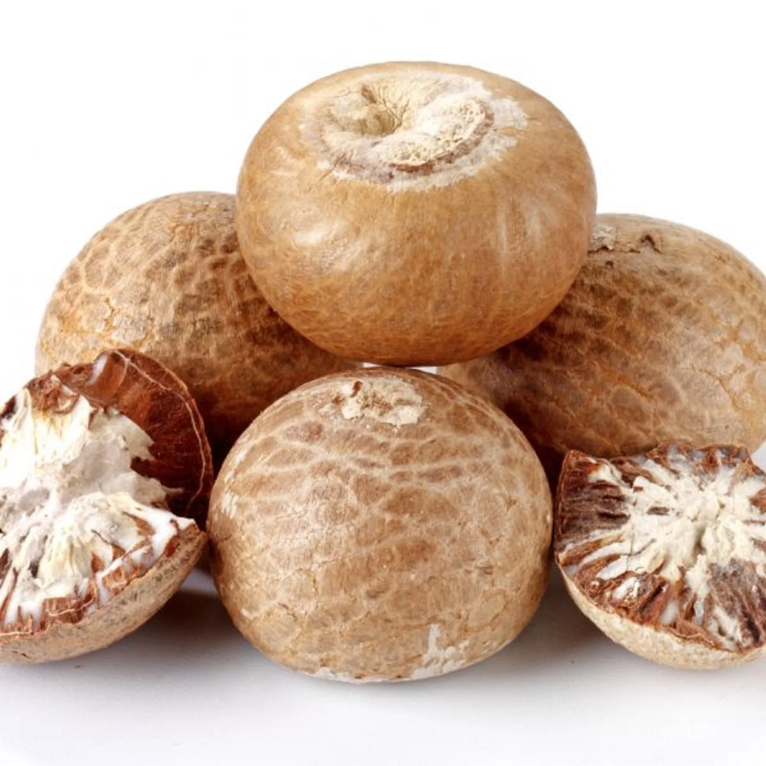 Best Selling Export Quality Areca Whole Betel Nut High Quality Betel Nuts Products