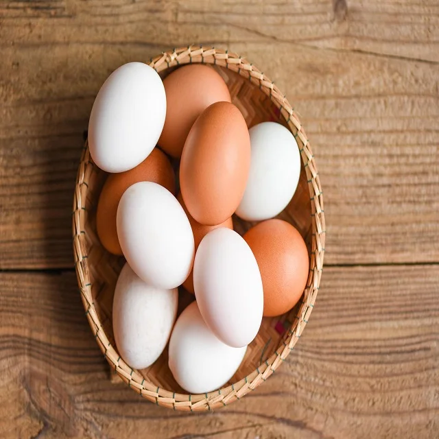 White & Brown Fresh Chicken Table Eggs