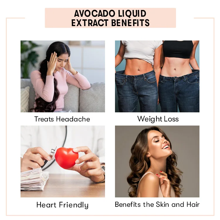 Hot Selling High Quality Avocado Liquid Extract Blend At Bulk Prices - Get Avocado Liquid Extract At Wholesale Rate