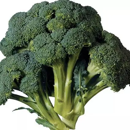 Fresh IQF Frozen Green Peas High Quality Chinese Ball Bulk Style Storage Packaging Prompt Color Weight CIF Shelf Clean