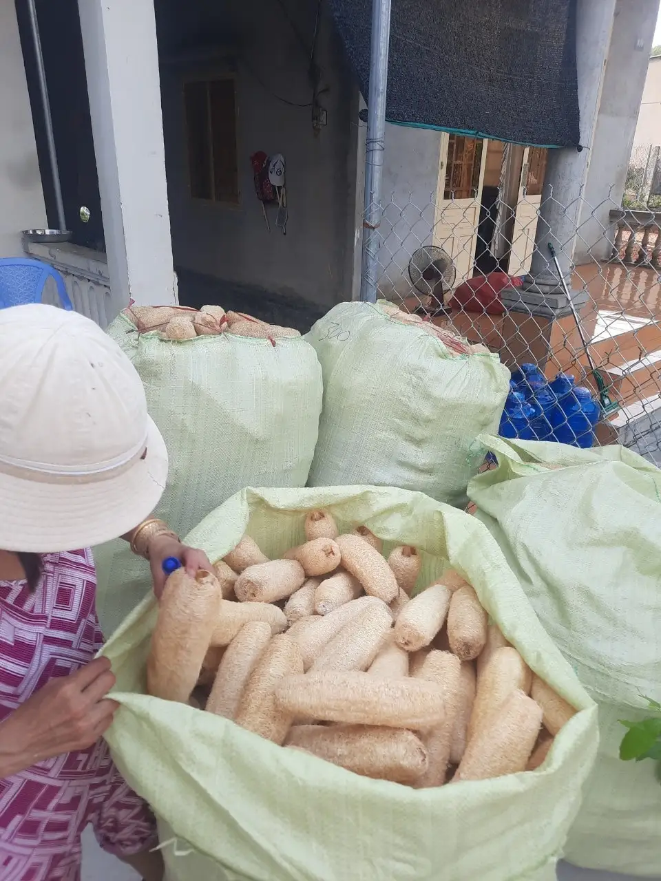 Wholesale Loofah Sponges for body 15- 20cm- 100% Natural Organic- Dried Luffa Scrub Sponge/Compressed Loofah- Made in VietNam