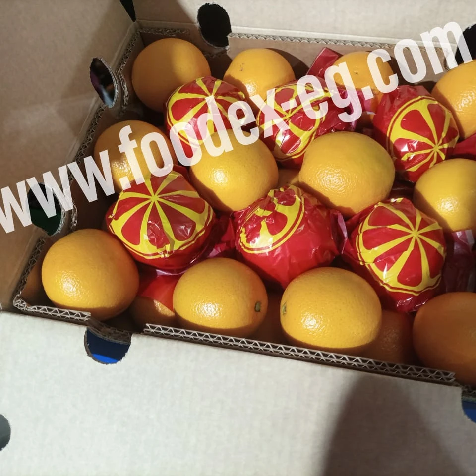 valencia egyptian orange