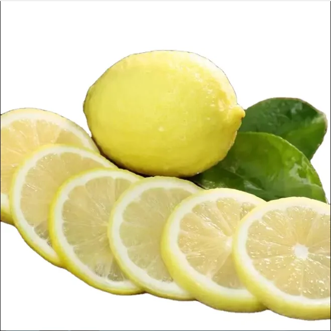 100% Natural Best Wholesale Price high quality Fresh Lemons from Vie