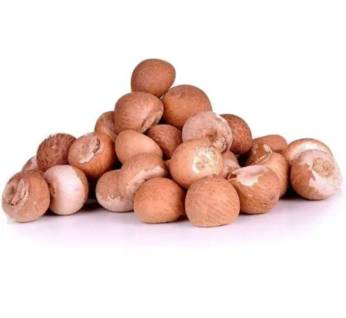 Whole And Spilt Dried Betel Nuts/ Areca nut for sale