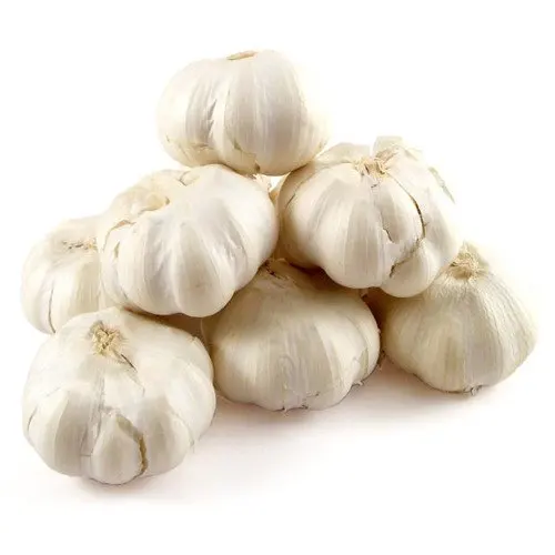 4.5cm 5.0cm 5.5cm 6.0cm Pure White Garlic / Fast delivery from Europe