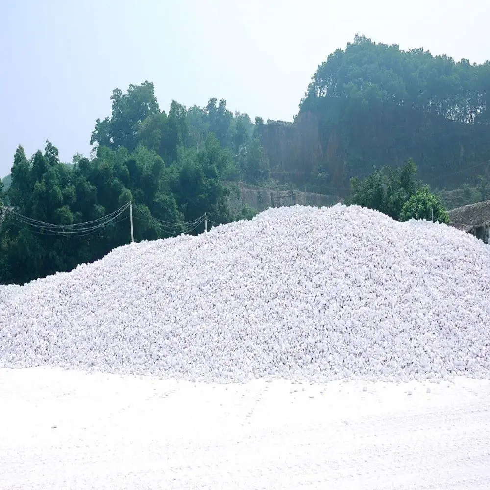 White Limestone Pavers Fast Delivery Calcium Carbonate Industry Natural Bulk Vietnam Manufacturer