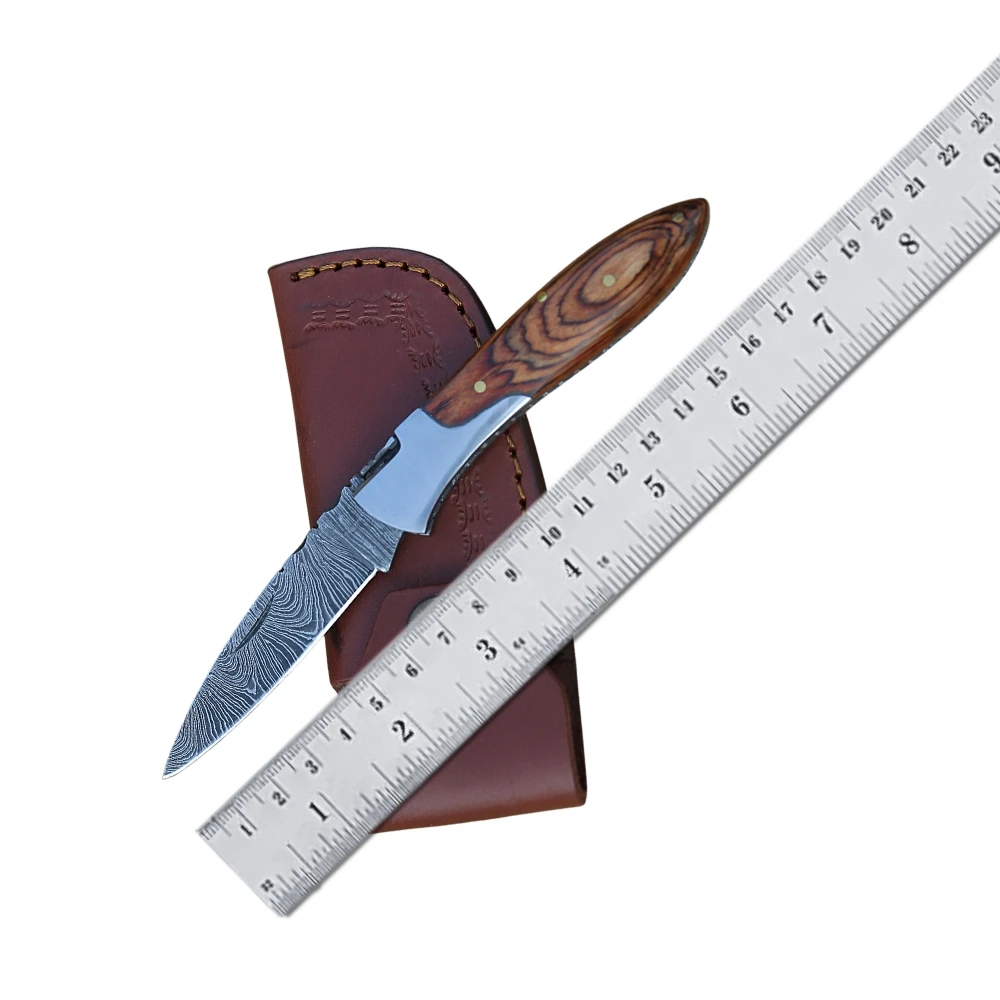 Hand Forged Fixed Blade Knife Camping Knife Outdoor Hunting Knives with Olive Wood & Rose Wood Handle & Sheath