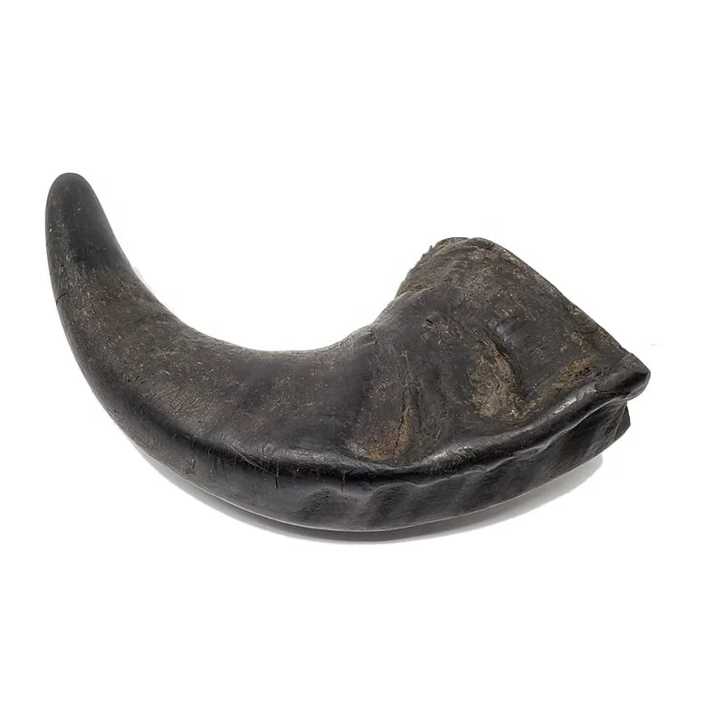 Best Quality Water Buffalo Horn Dog Chews Dogs Toys Dog Chews Made In India
