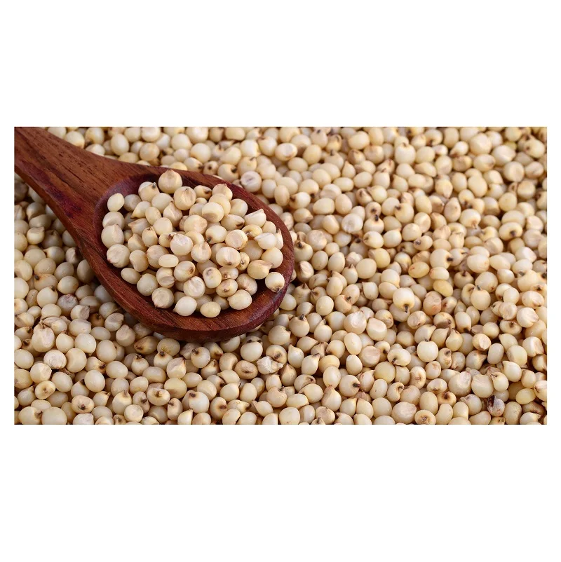 Hot Selling Price Organic Seeds White Quinoa Grains Health care Grains in Bulk