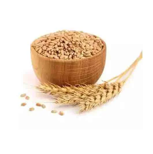 PREMIUM QUALITY Wheat Grain in Bulk / Hight Quality Wheat, Whole