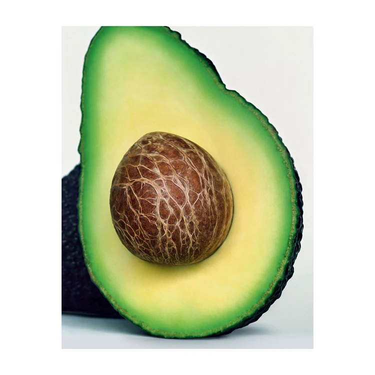 Fresh Avocado / Hass Avocado, Fuerte Avocado For Sale