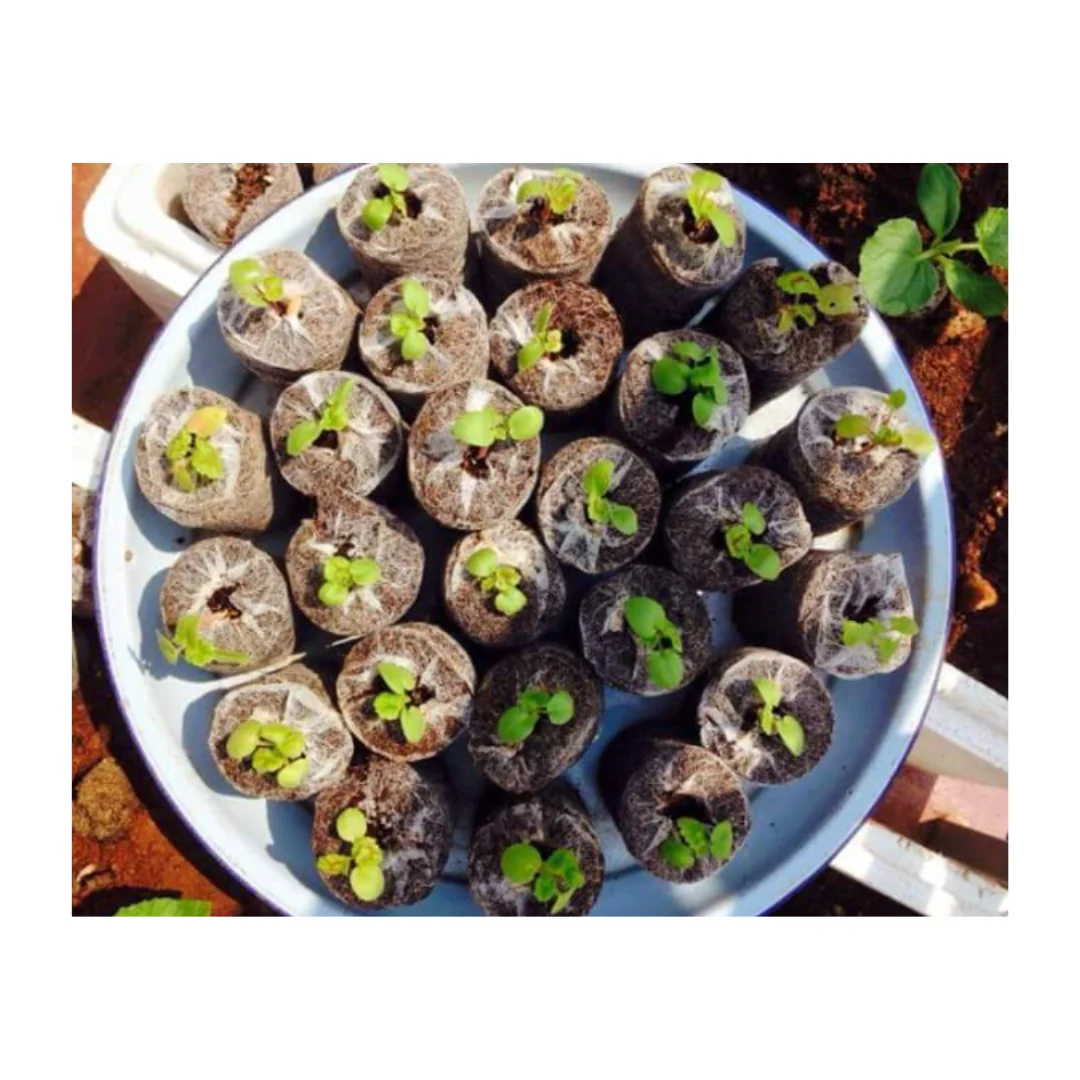 Coco Coir Peat For Garden Eco-friendly coconut fiber coir peat pellet for planter garden decoration best quality from Vietnam