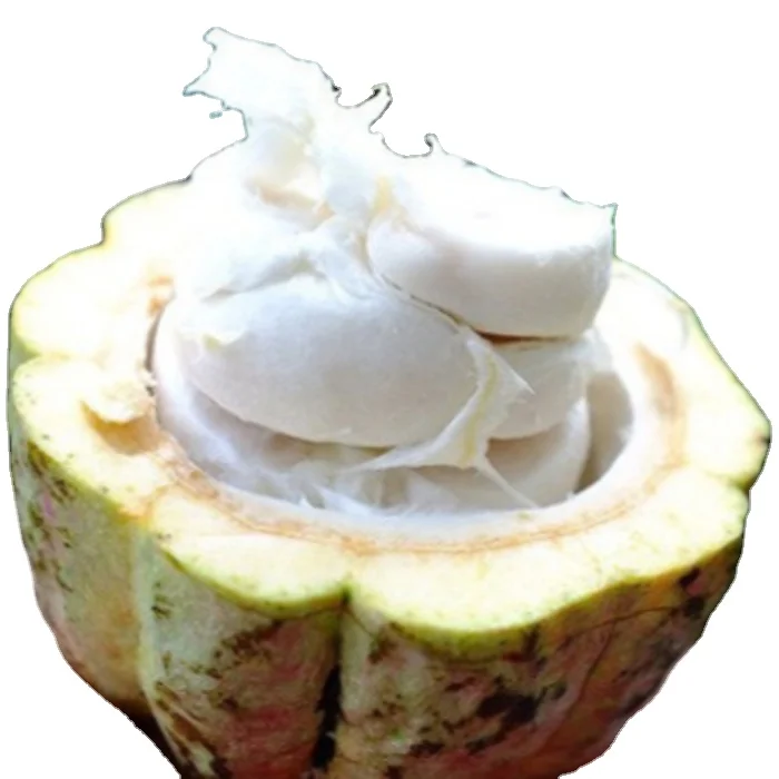 Vietnam Wholesaler Slightly Sour Slightly Bitter Taste Azzan Cacao Powder 100% Cacao 500G Origin From DakLak Vietnam