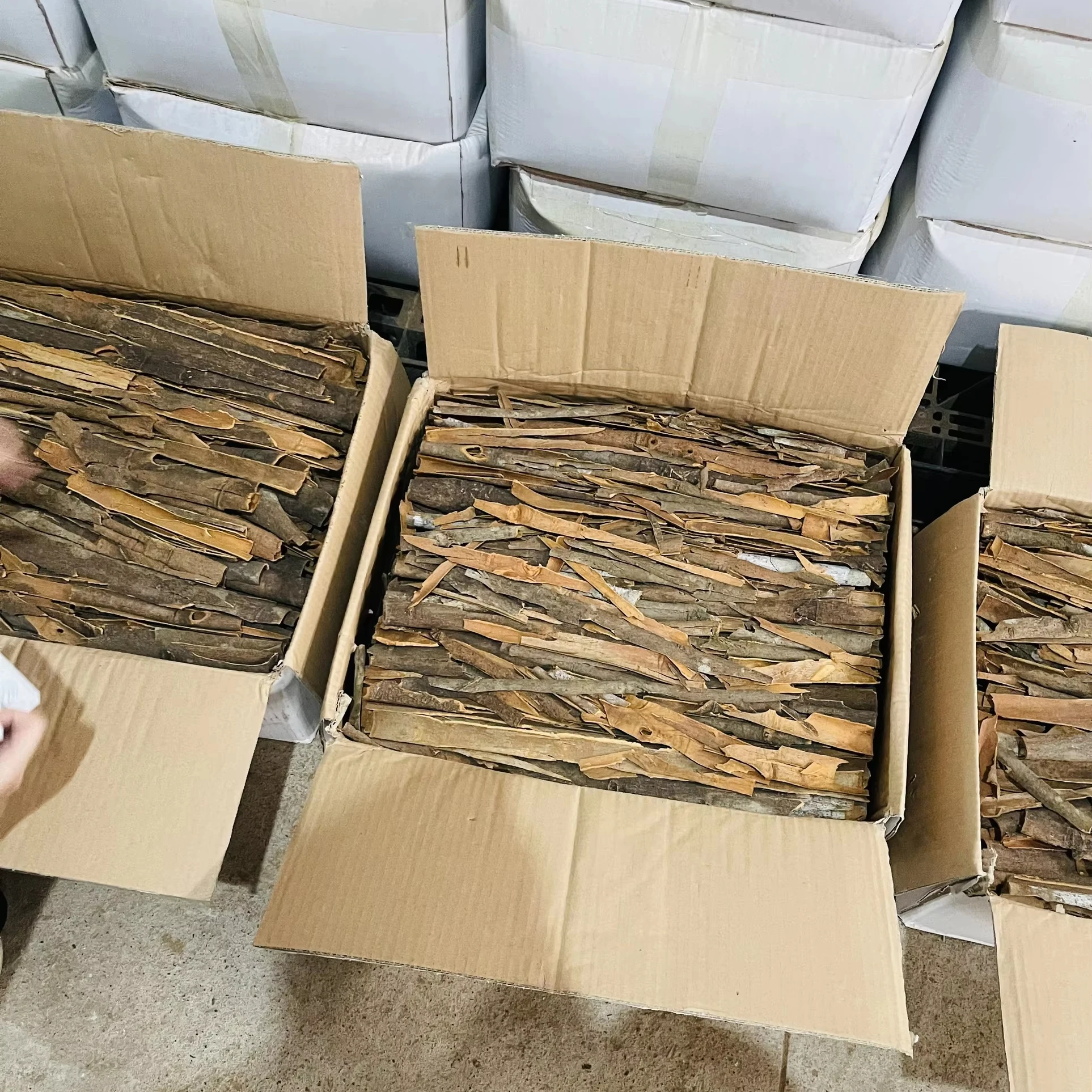 Manufacture Lavanga-patta Split/ Dal Chinni Split Cinnamon Cassia. (WA: 0084976292544)