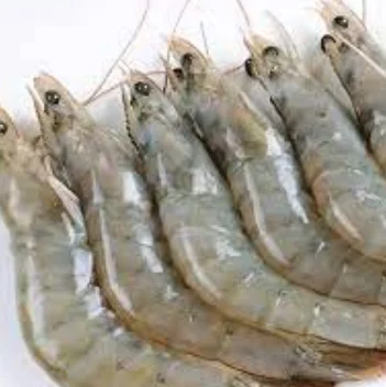 Frozen black tiger shrimp