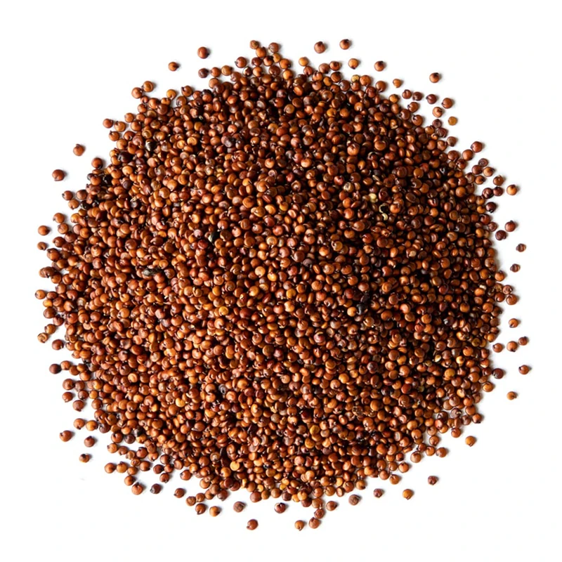Super Quality 100% organic feed Grade Red Quinoa bulk cheap price from India Best Market Price