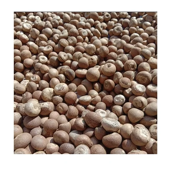 Wholesale price high quality raw betel dried indonesia betel nuts areca nut