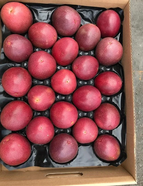 OEM fresh passion fruit frozen passion fruit with high quality material and reasonable price for importer (+84983028718)