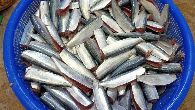 DRY FISH 100% NATURAL DRIED HERRING FISH FOR COOKING- WHOLESALE BEST PRICE DRIED HERRING FISH FROM VIETNAM