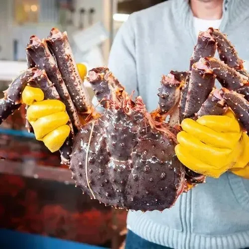 Discount Price Live King Crab, Norwegian Red King Crab, Frozen King Crab Legs / Snow Crab Clusters For Sale