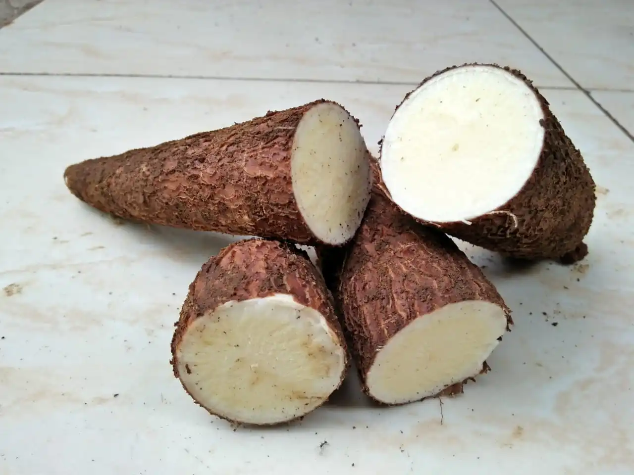 Fresh Cassava1.jpeg