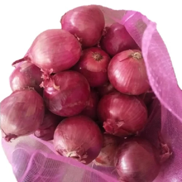 High Quality Best Selling Fresh Onions for Bulk Sale