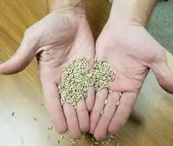 Продажа измельчителя