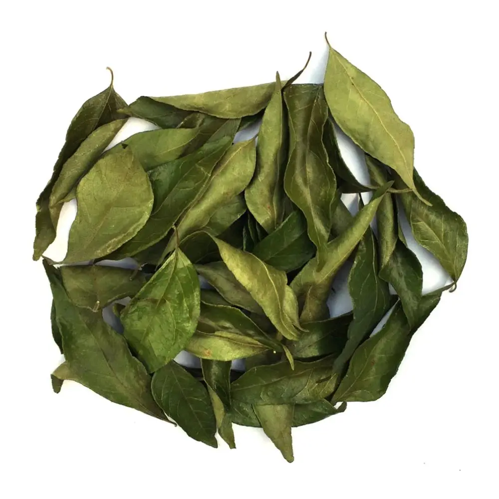 Best Quality Curry Leaves Whole Dried Spices Seasoning Strong Flavored Original Green Whole Bulk
