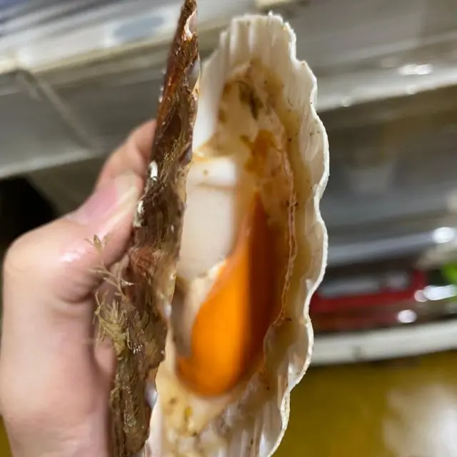 FROZEN WHOLE KING SCALLOP (PECTEN MAXIMUS)