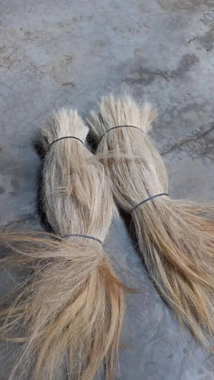 High Quality Goat Hair / Goat Long Hair the Raw Material Natural Goat hair at beast quality