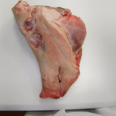 Замороженное мясо свиной/свиной головки, доступно для поставки