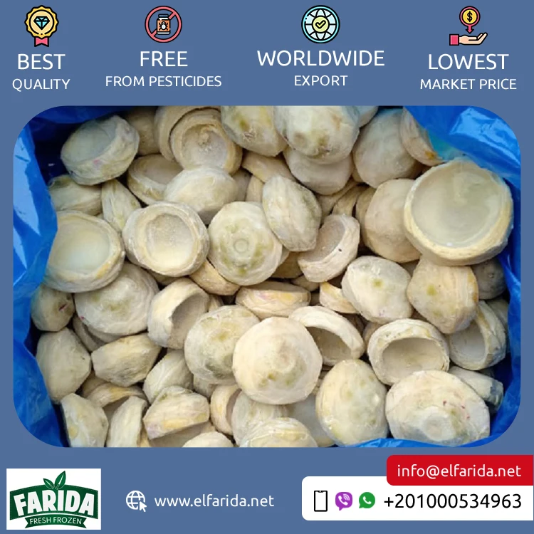 Egypt Origin Exporter of Superior Quality 100% Natural Delicious Taste Frozen Artichoke Bottoms (5-7) cm / (7-9) cm