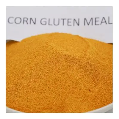 Оптовая продажа сухая желтая кукуруза для корма животных измельченный корм кукурузы сладкий сухой кукурузный глютен кукурузные початки птиц