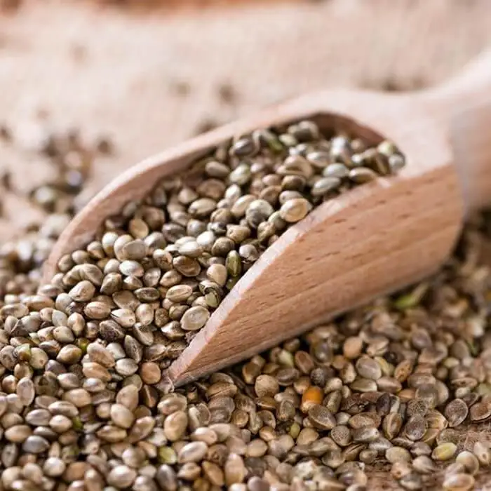 hot sale Buy Organic Hemp Seeds Premium Hemp Seed For Sale Online in High Feminized Hemp Seeds