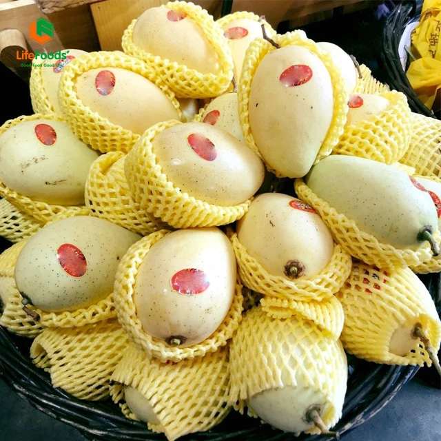 Natural Sweet Common 100% Maturity Delicious HCCP cert package ODM fresh fruit Yellow Cat Chu Mango Lifefoods from Vietnam