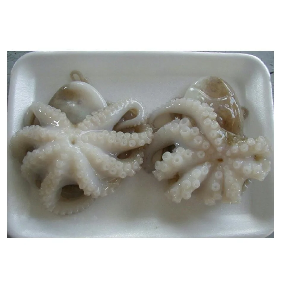 Small octopus frozen whole cleaned baby octopus