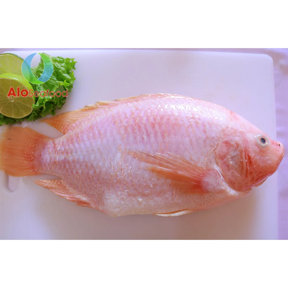 High Quality Frozen Whole Round Red Tilapia Fish From Vietnam